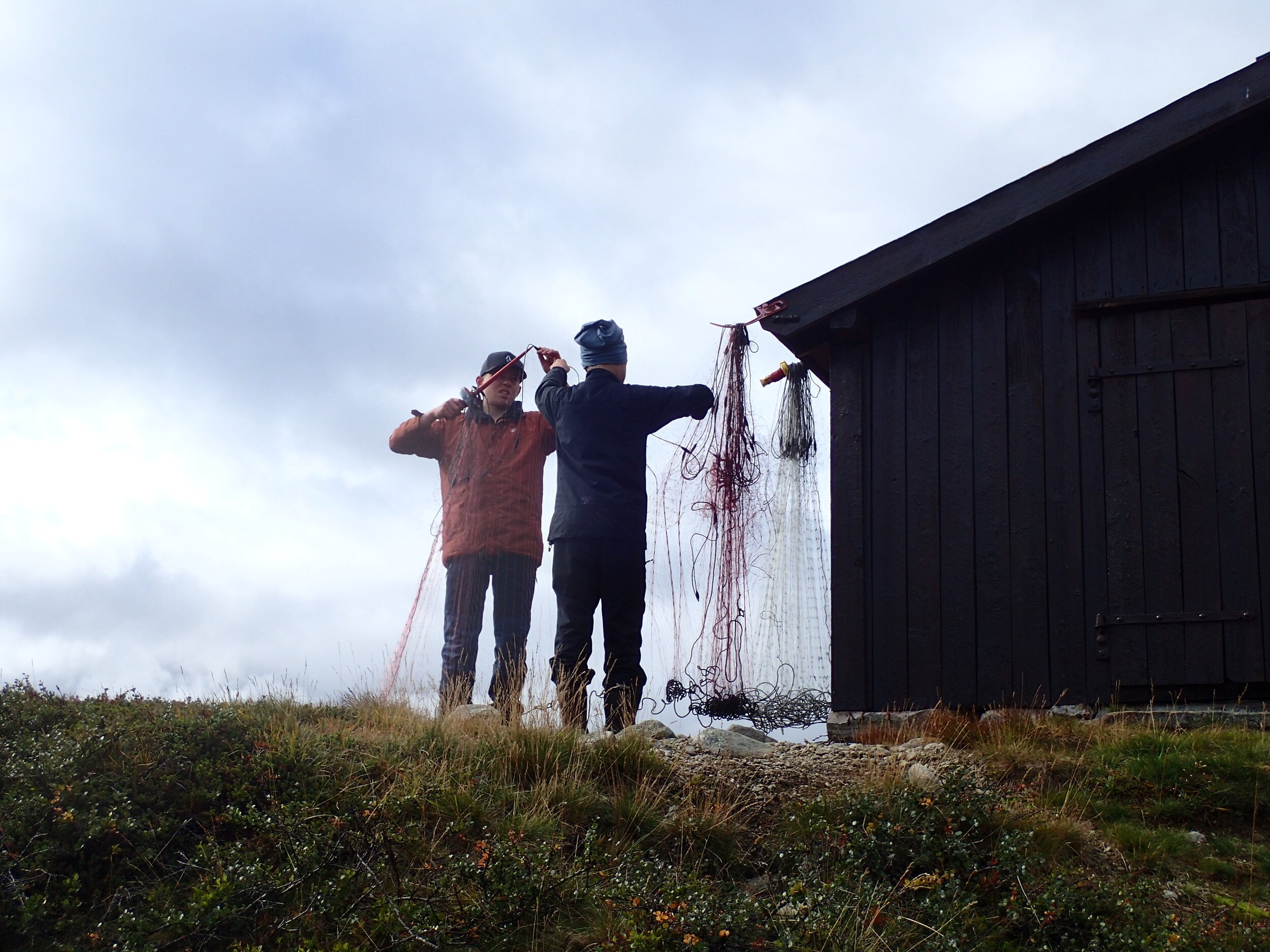 Retten til jakt og fiske i statsallmenningane