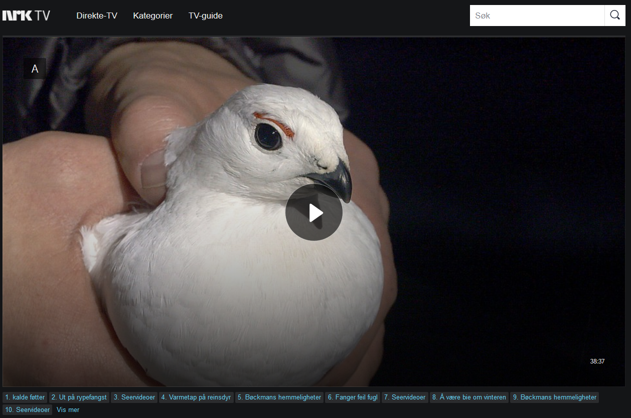 Rypemerking i Lierne