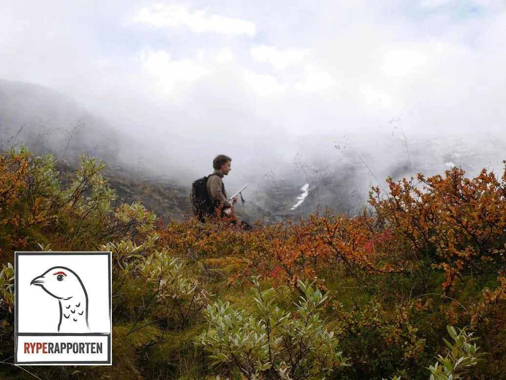 RypeRapporten våren 2018