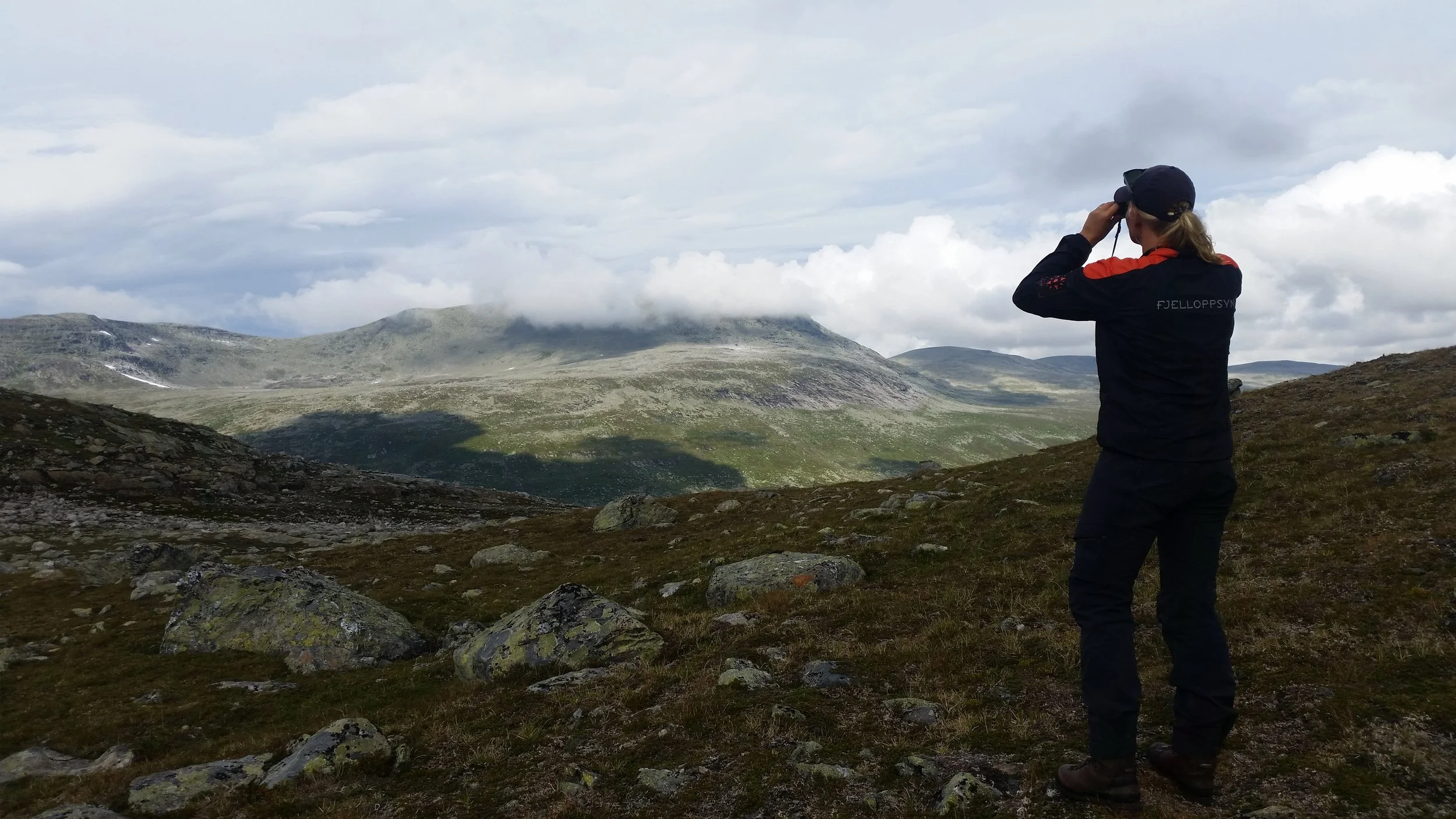 Røyrvik fjellstyre søker Fjelloppsyn