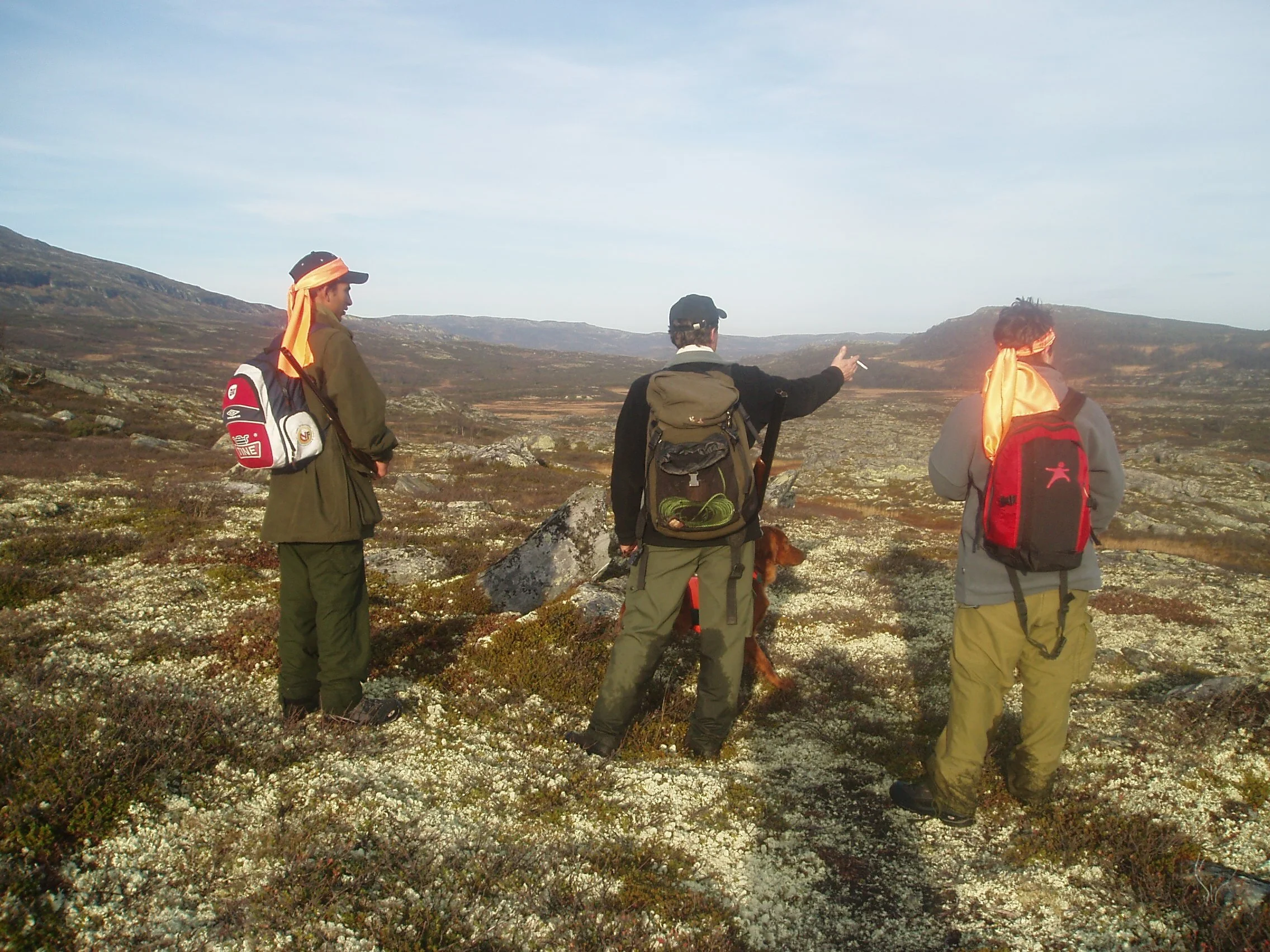 Senterpartiet vil styrke fjellstyrene