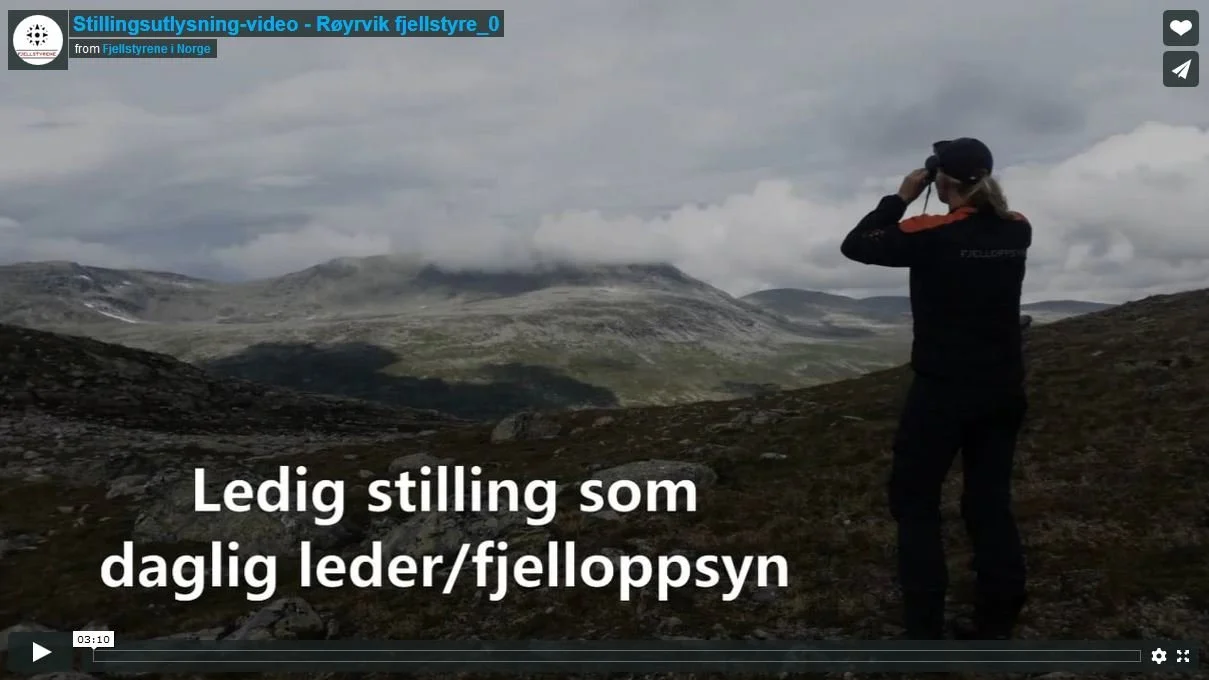 Søker Fjelloppsyn i Røyrvik