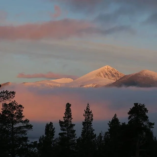 Sollia på Instagram