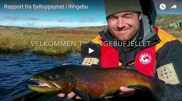 Sommer i Rondane