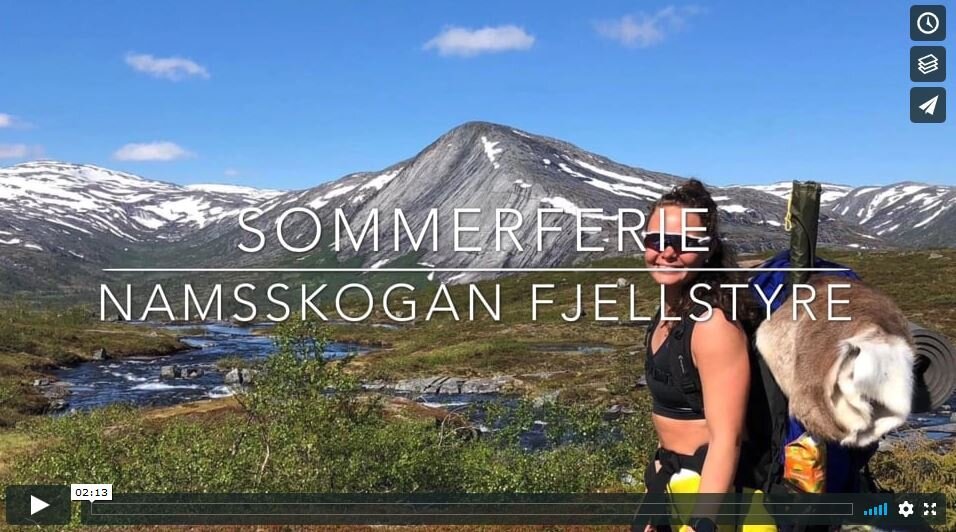 Sommer på fjellet
