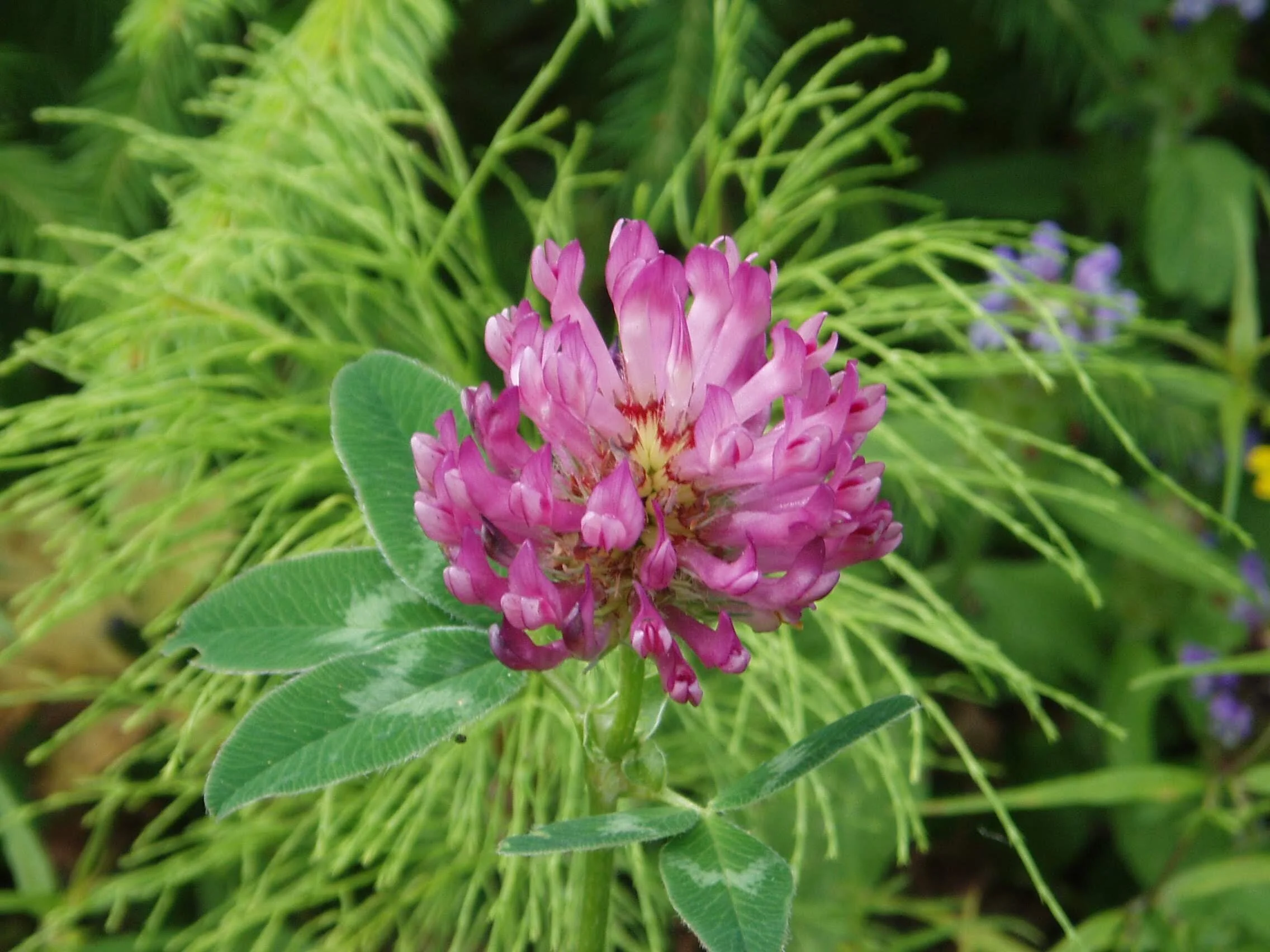 Sommerhilsen fra styreleder