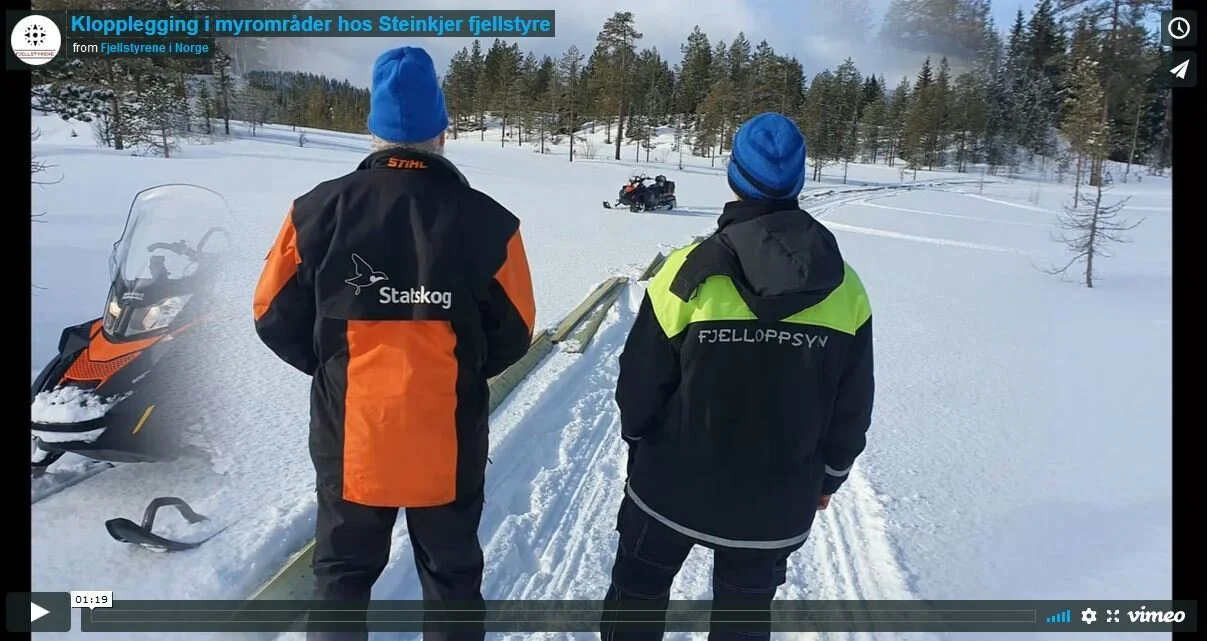 Tilrettelegging gjennom blautmyra