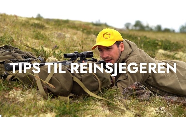 Tips til villreinjegere