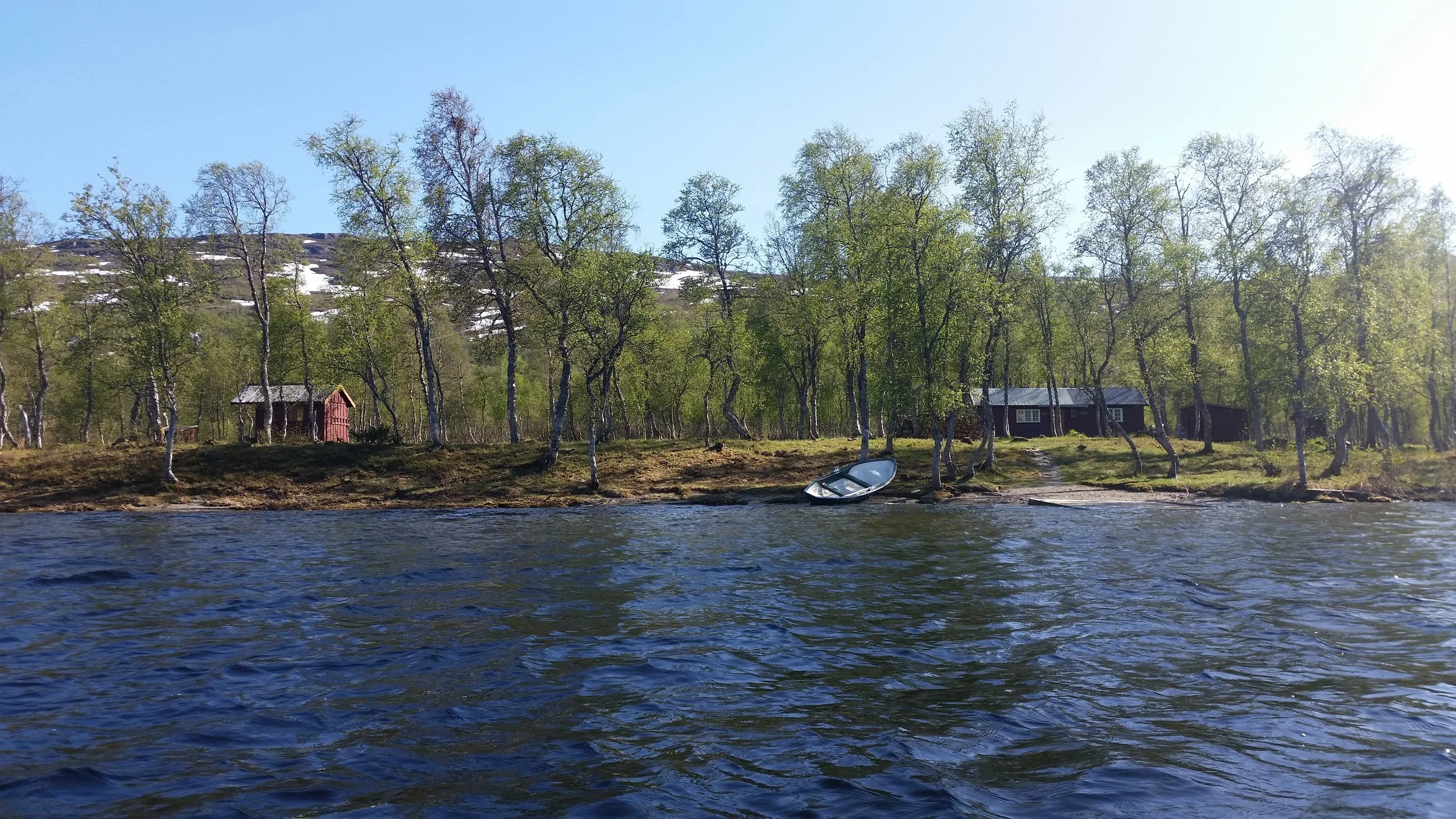 20180602_172613.jpg