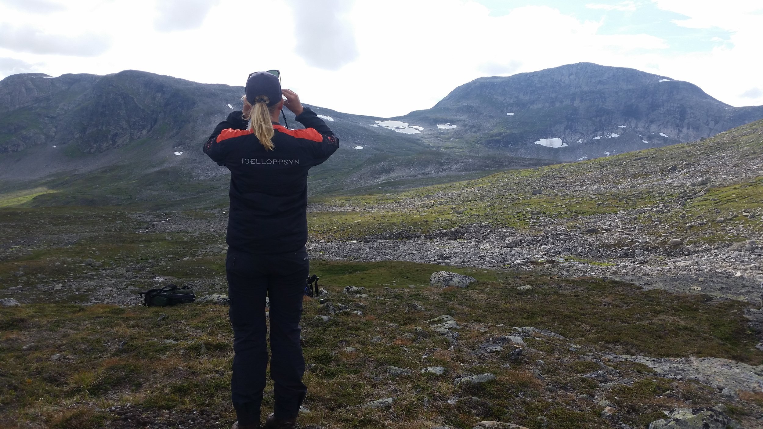 Ville, vakre Børgefjell