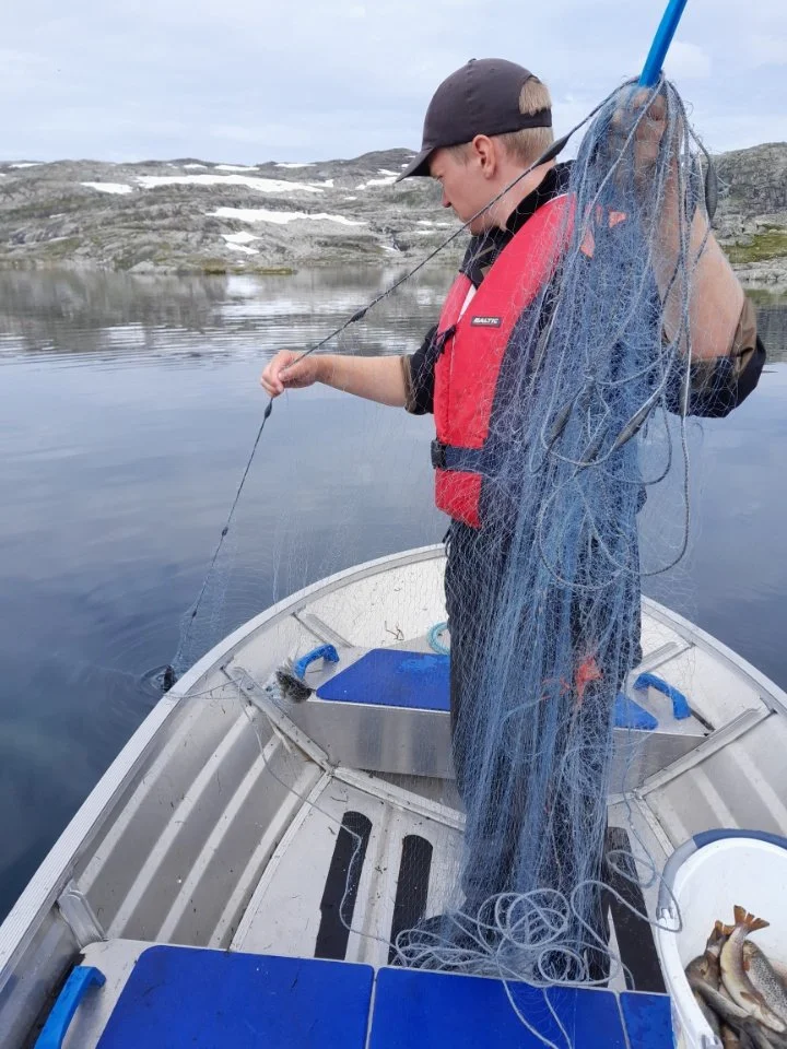 Kartlegging av interesse for dugnadsarbeid - tynningsfiske prosjekt