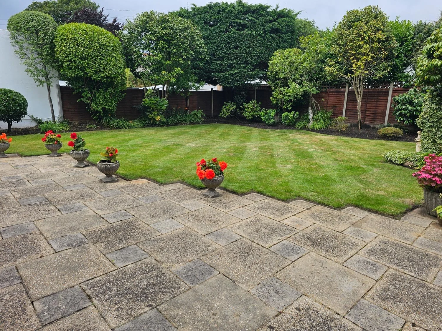 A neatly mowed backyard with a paved patio area, decorated with potted red and orange flowers. The yard is enclosed by a wooden fence and bordered by lush green trees and shrubs.