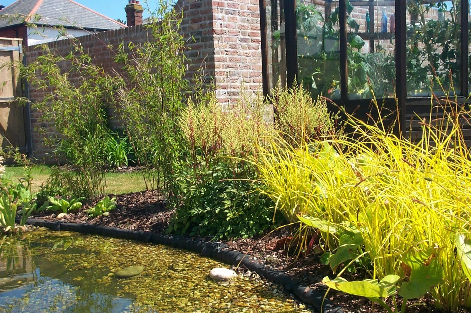 A garden with various plants and shrubs beside a small pond, with a brick wall and large glass greenhouse in the background.