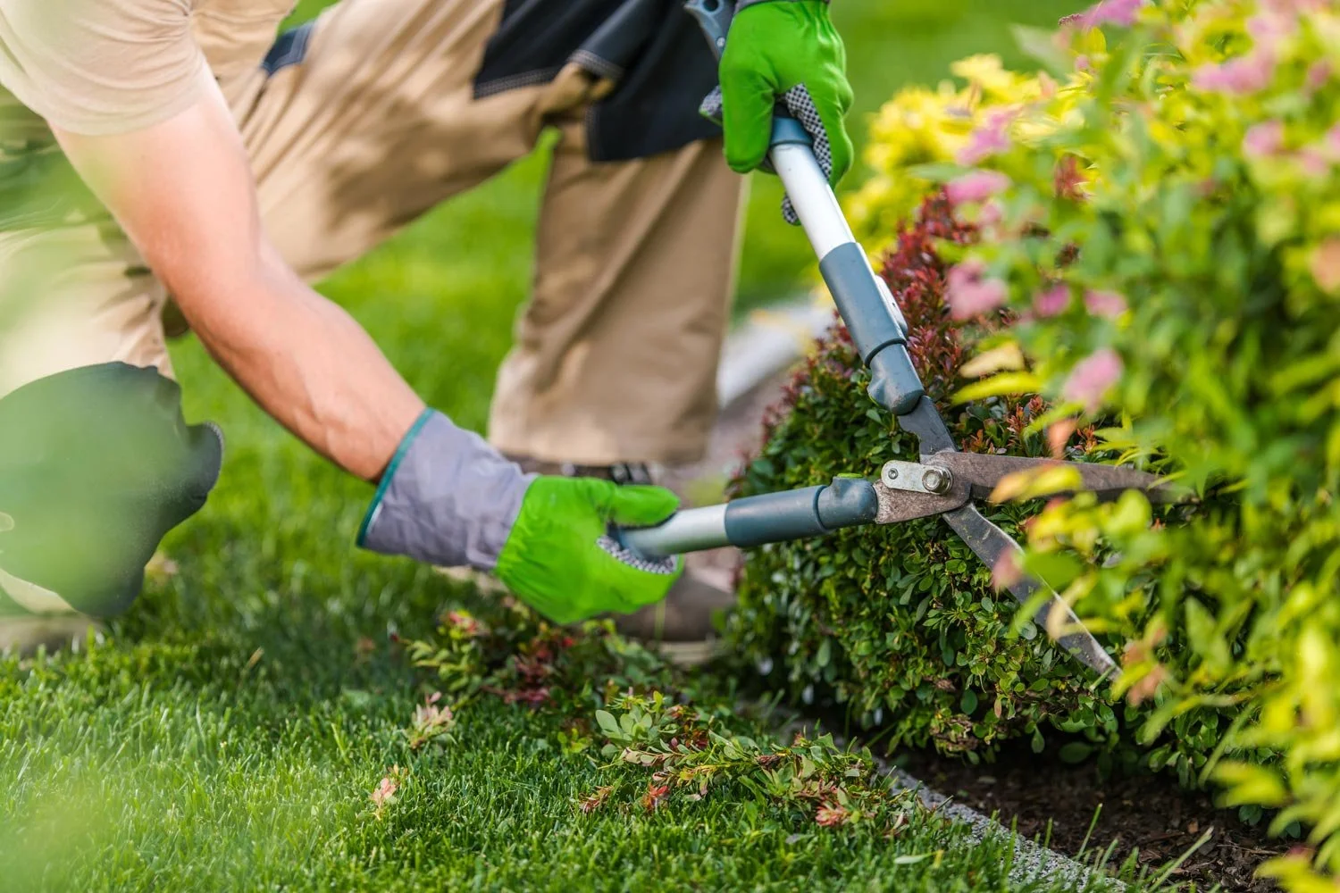 A person trimming a hedge with hedge clippers in a garden.