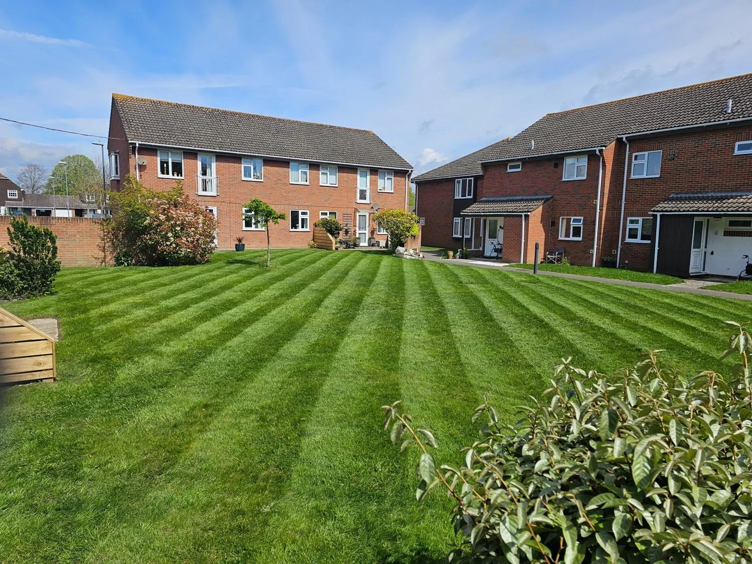 A well-maintained lawn with striped green grass in front of residential buildings, with small trees and shrubs, under a partly cloudy blue sky.