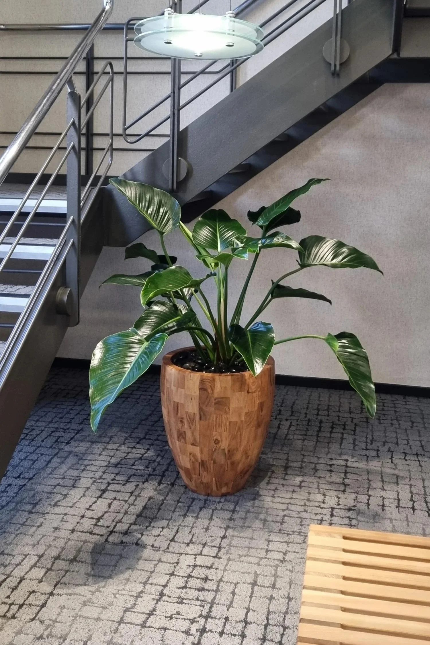 Indoor scene of a modern office or building lobby featuring a green potted plant in a wooden planter in the foreground, and a metal staircase with railings and glass lighting fixtures above.