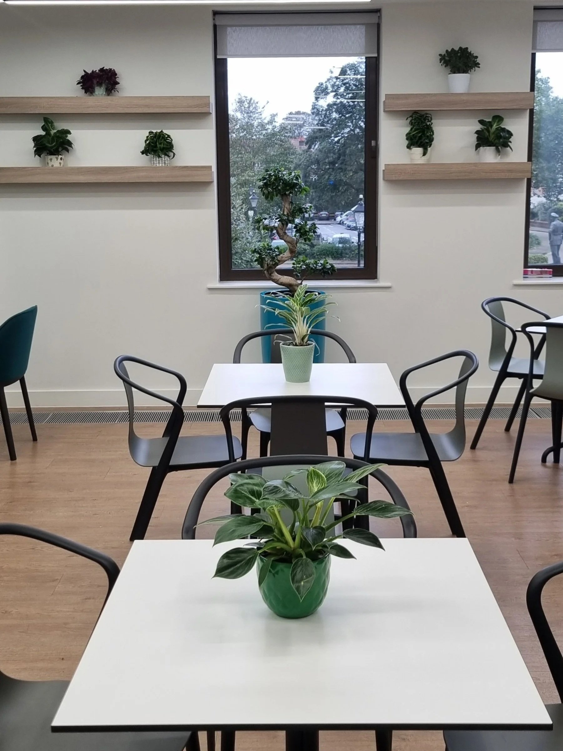 Stewarts_Interior+Landscaping_Plants_Workspaces_Desk+Planting-37.jpg