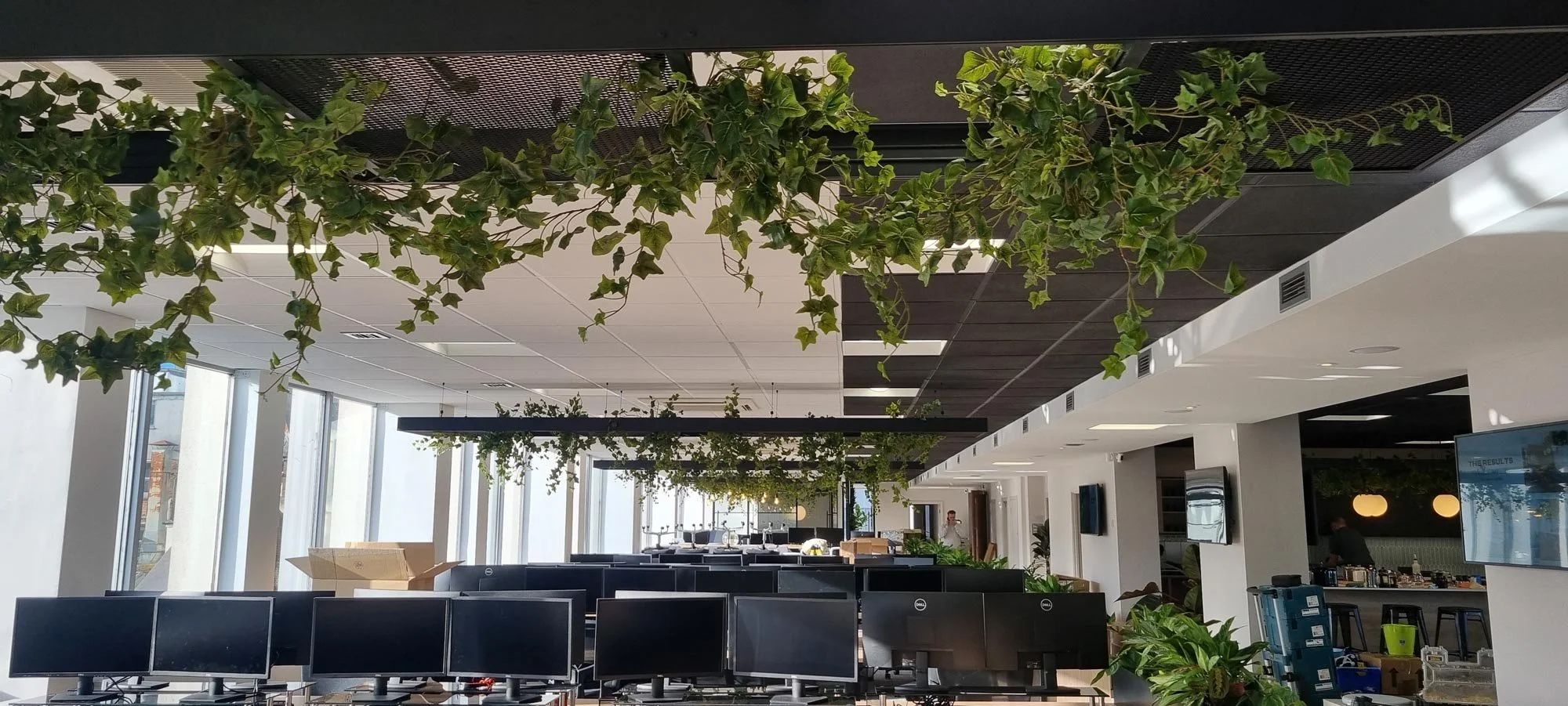 Office space with rows of computer monitors, large windows providing natural light, and decorative hanging green plants from the ceiling.
