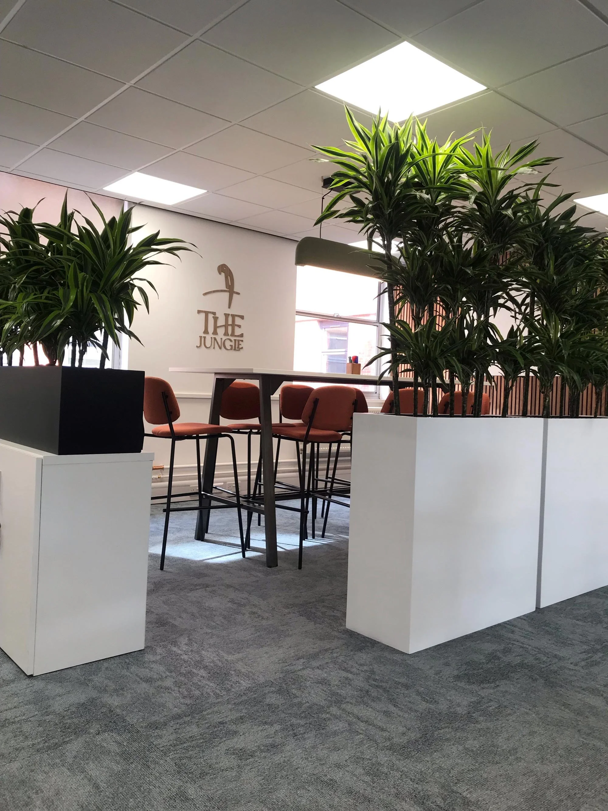 An indoor lounge or break area featuring a tall table with four orange chairs. Large green plants in white planters partially obstruct the view. There's a wall with a logo reading 'The Jungle' and a flamingo icon, and a window with blinds allowing na