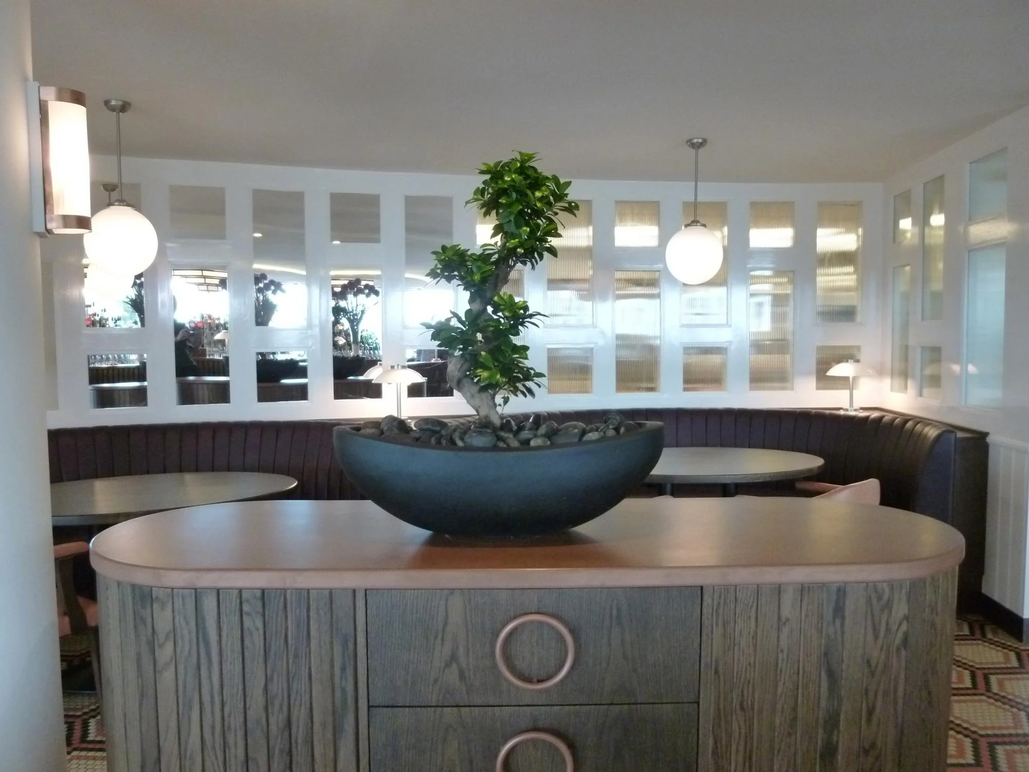 Interior of a restaurant or cafe with a large potted plant on a wooden counter, circular tables with chairs, and decorative lighting fixtures