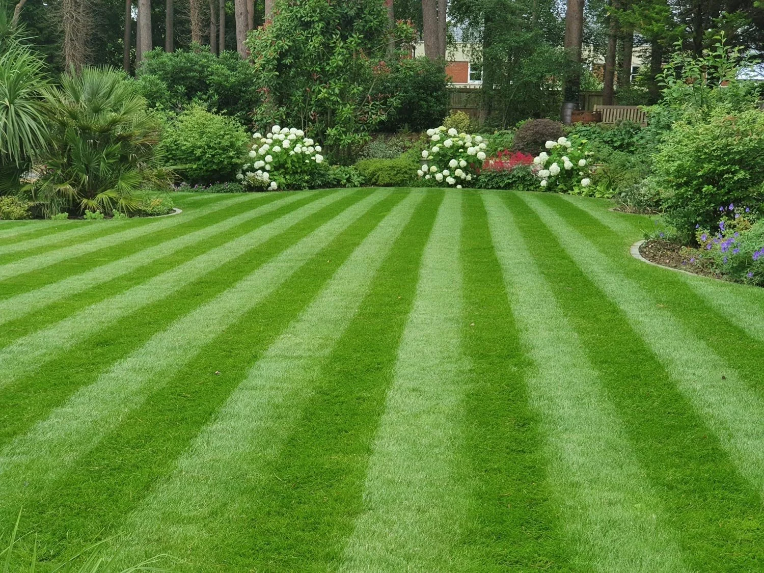 A well-maintained backyard lawn with alternating light and dark green stripes, bordered by colorful flower beds and trees.