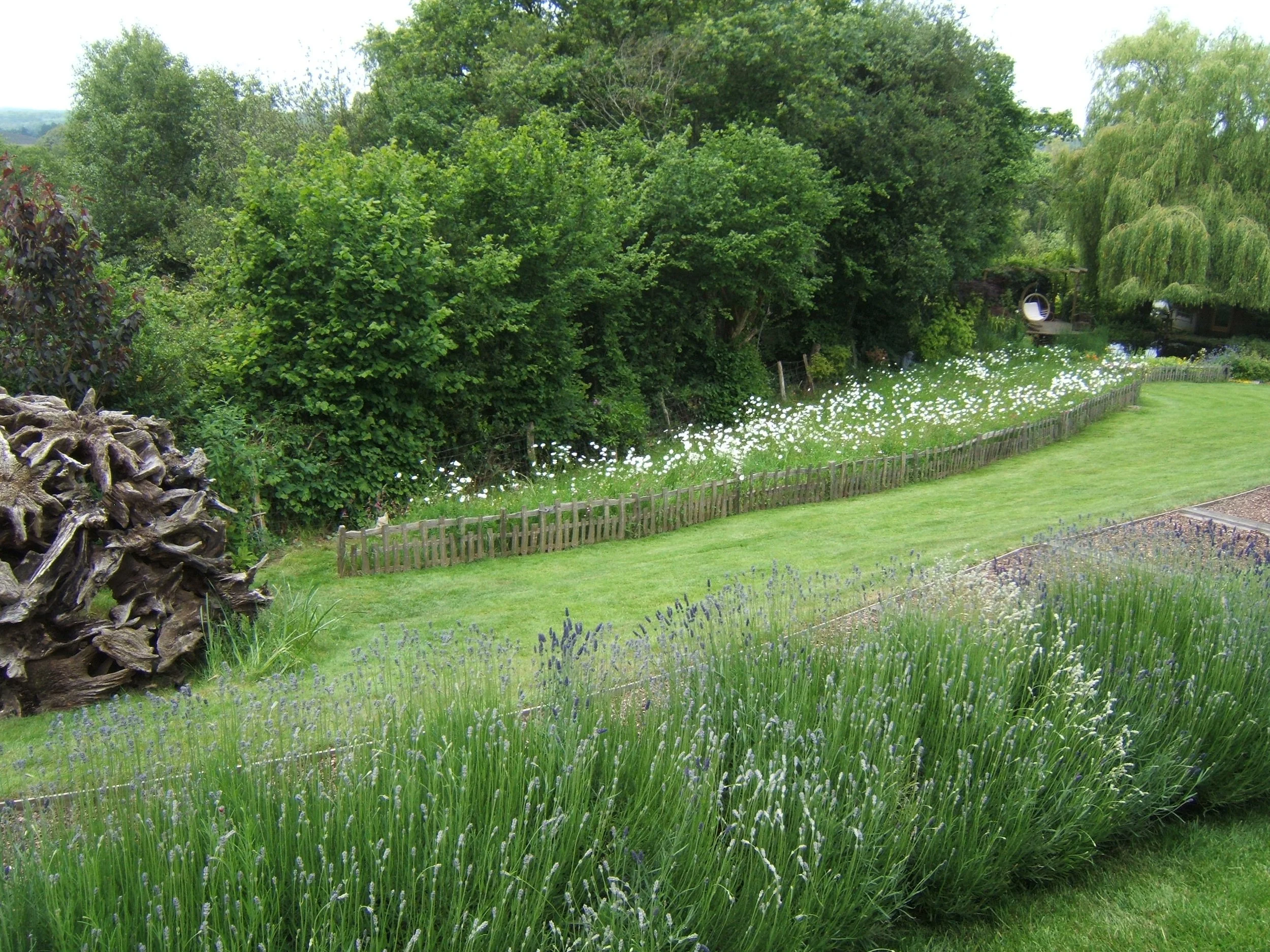 Stewarts_Exterior_Landscaping_Commercial Grounds Maintenance-33.jpg