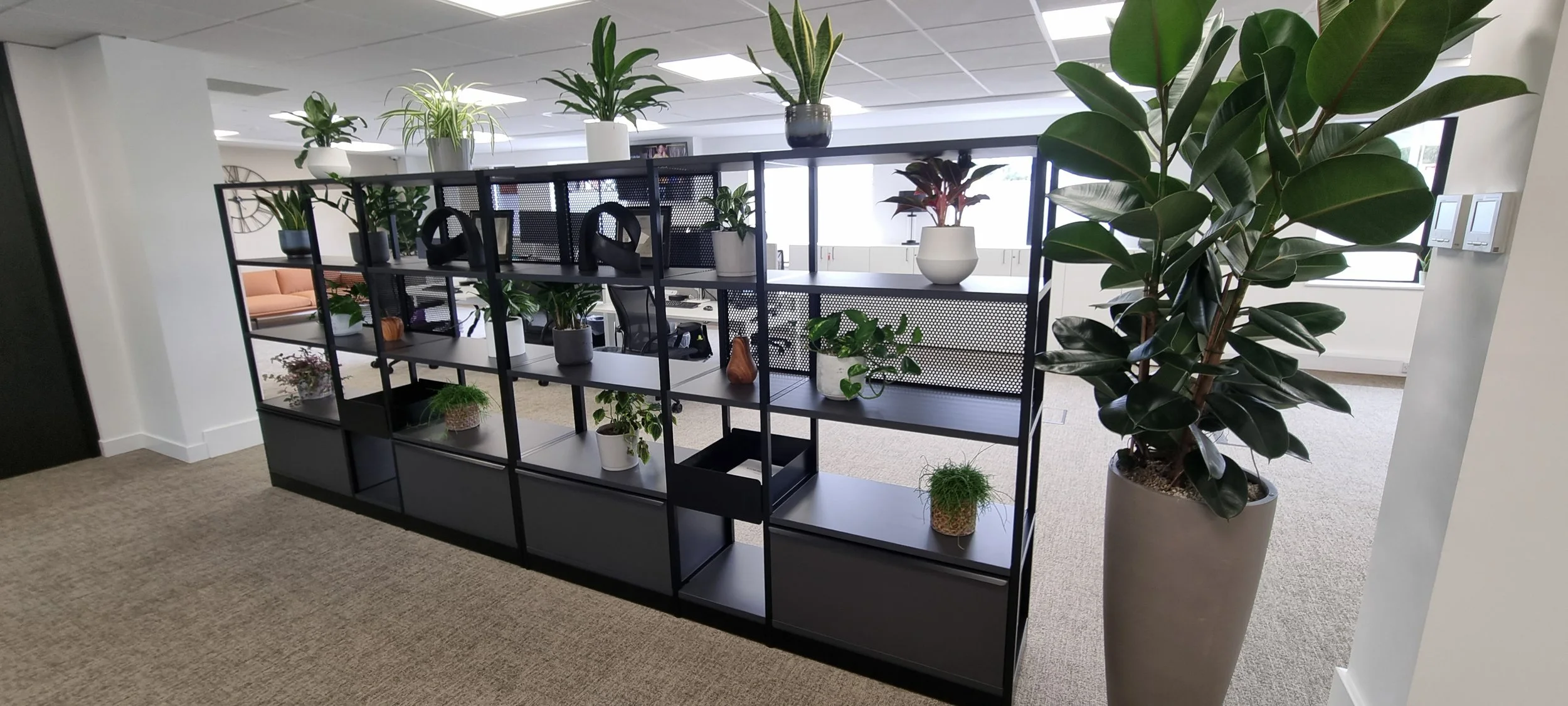 Stewarts_Interior Landscaping_Plants_Workspaces_Hanging Shelving Planting-35.jpg
