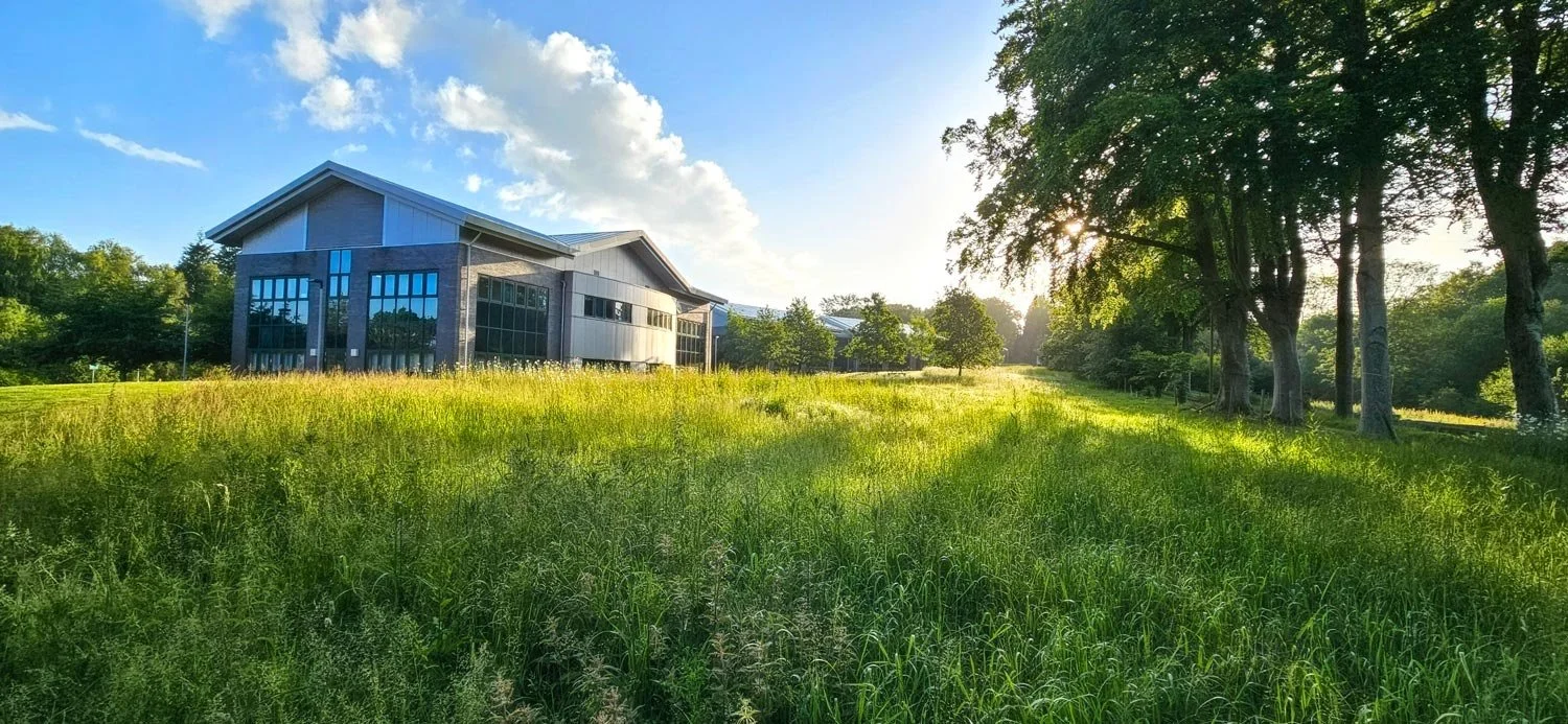 A modern building is shown in a grassy field with green trees under a partly cloudy sky during sunset.