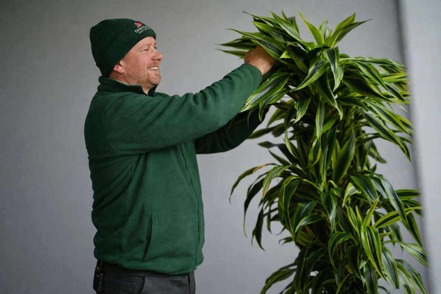 A man in a green jacket and beanie arranging a tall potted green plant with long pointed leaves against a gray wall.
