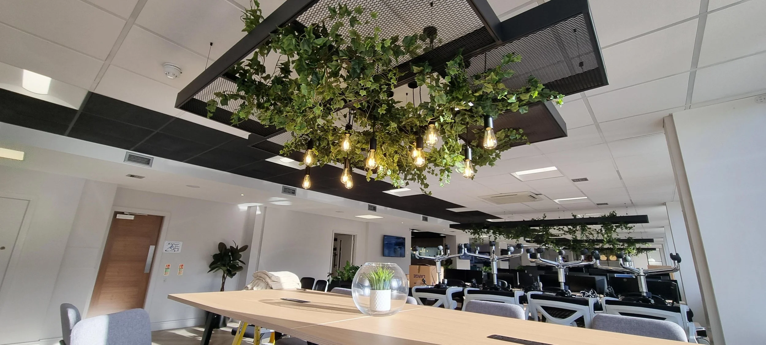Modern office space with ceiling-mounted planters filled with green ivy and hanging Edison bulb lights, white walls, a wooden table with a plant in a glass bowl, and workstations with multiple computer monitors.