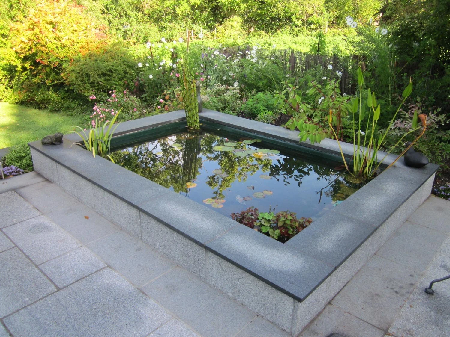 A small rectangular pond surrounded by gray stone tiles, with water lilies and tall plants inside, set in a lush garden with trees and colorful bushes.