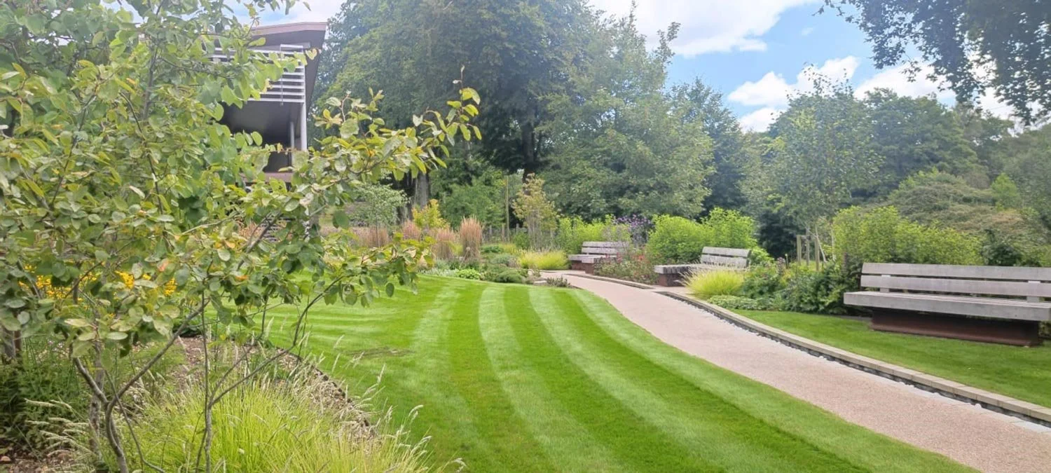 A well-manicured backyard with a striped grass lawn, winding walkway, and benches surrounded by lush greenery and trees under a partly cloudy sky.
