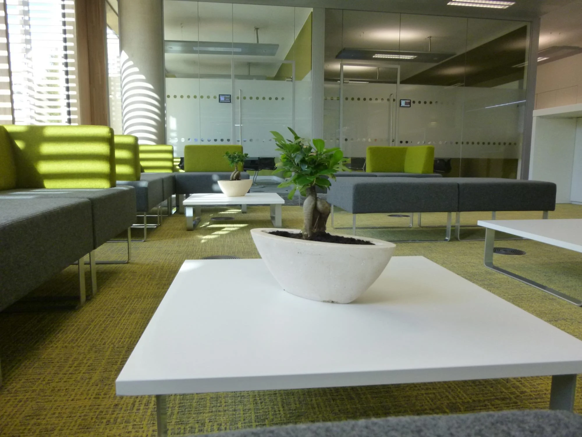 Office lounge with gray and green seating, potted plant on a white coffee table, and glass partition in background.