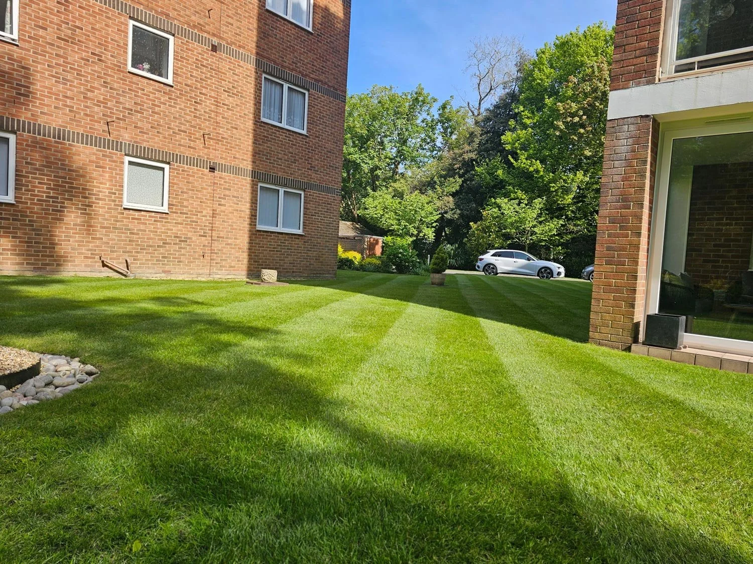 A well-maintained grassy yard with alternating light and dark green stripes, surrounded by red brick apartment buildings, trees, and parked cars.