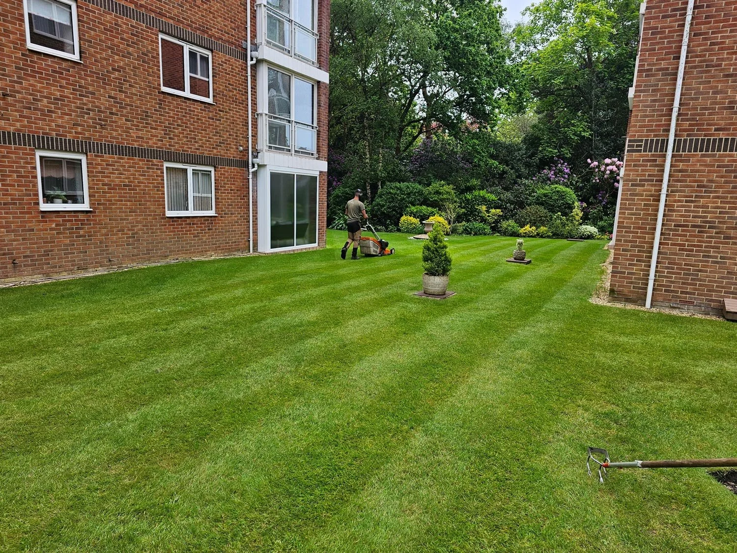 A person mowing a neatly maintained grassy lawn in a courtyard between two brick apartment buildings. There are potted plants and colorful bushes in the background with trees and flowers.