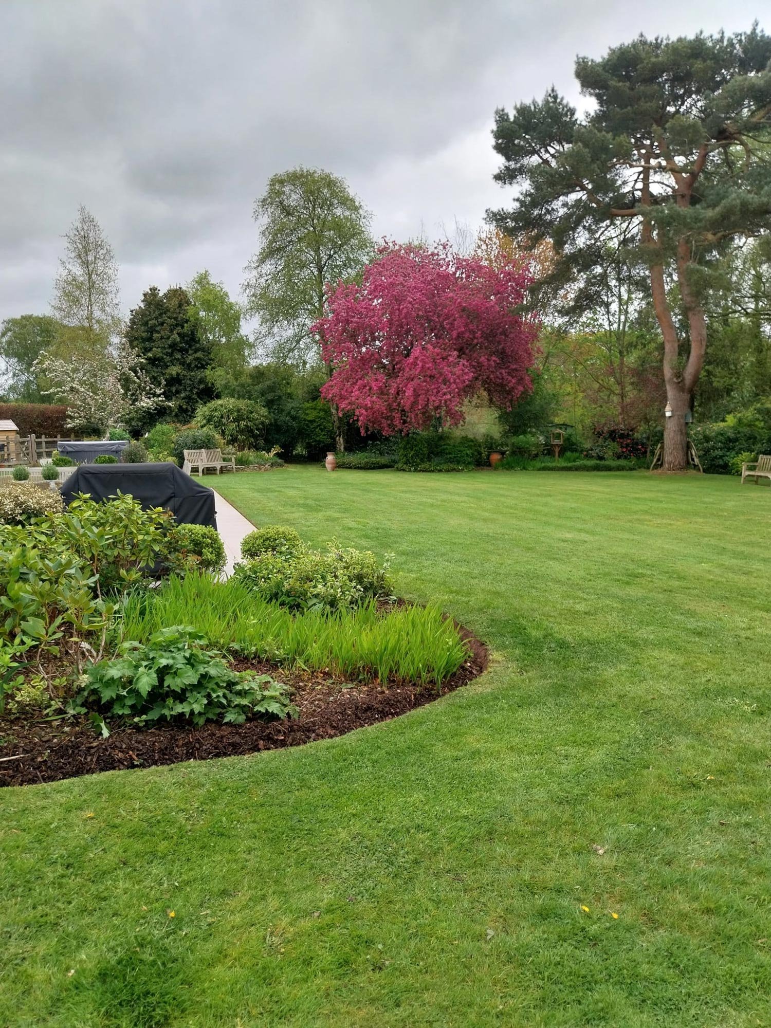 A well-maintained backyard with a lush green lawn, colorful flowering trees, and potted plants, with benches and outdoor furniture under an overcast sky.