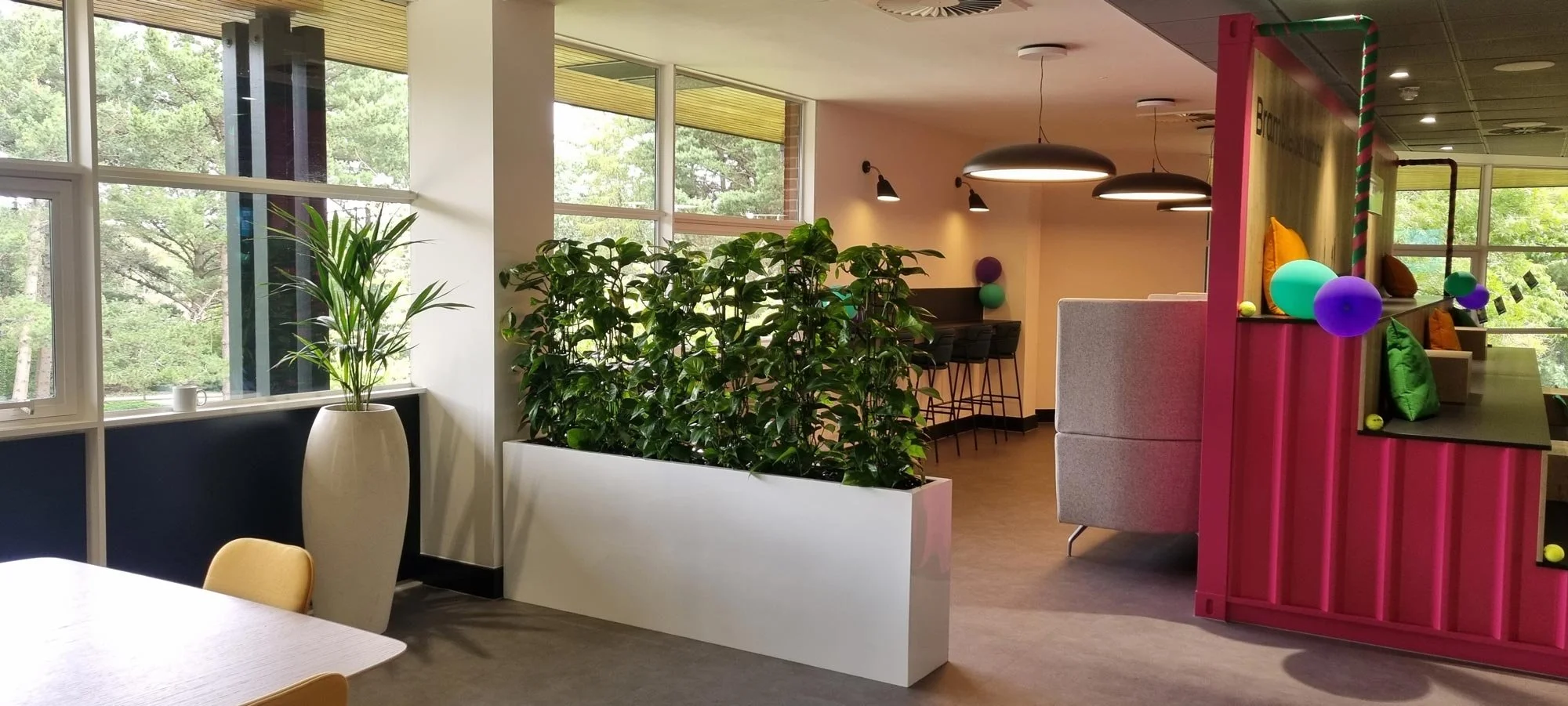 Modern office space with large windows, indoor plants, a white planter, and colorful furniture including a pink partition with decorative items and a seating area.