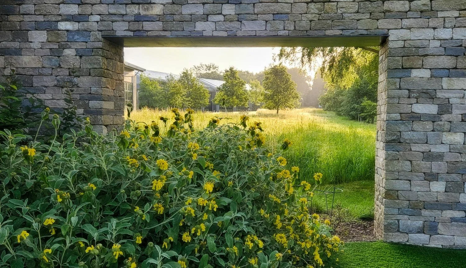 Sunlit garden view through a stone archway, with yellow flowers and green grass, trees, and a house in the background.