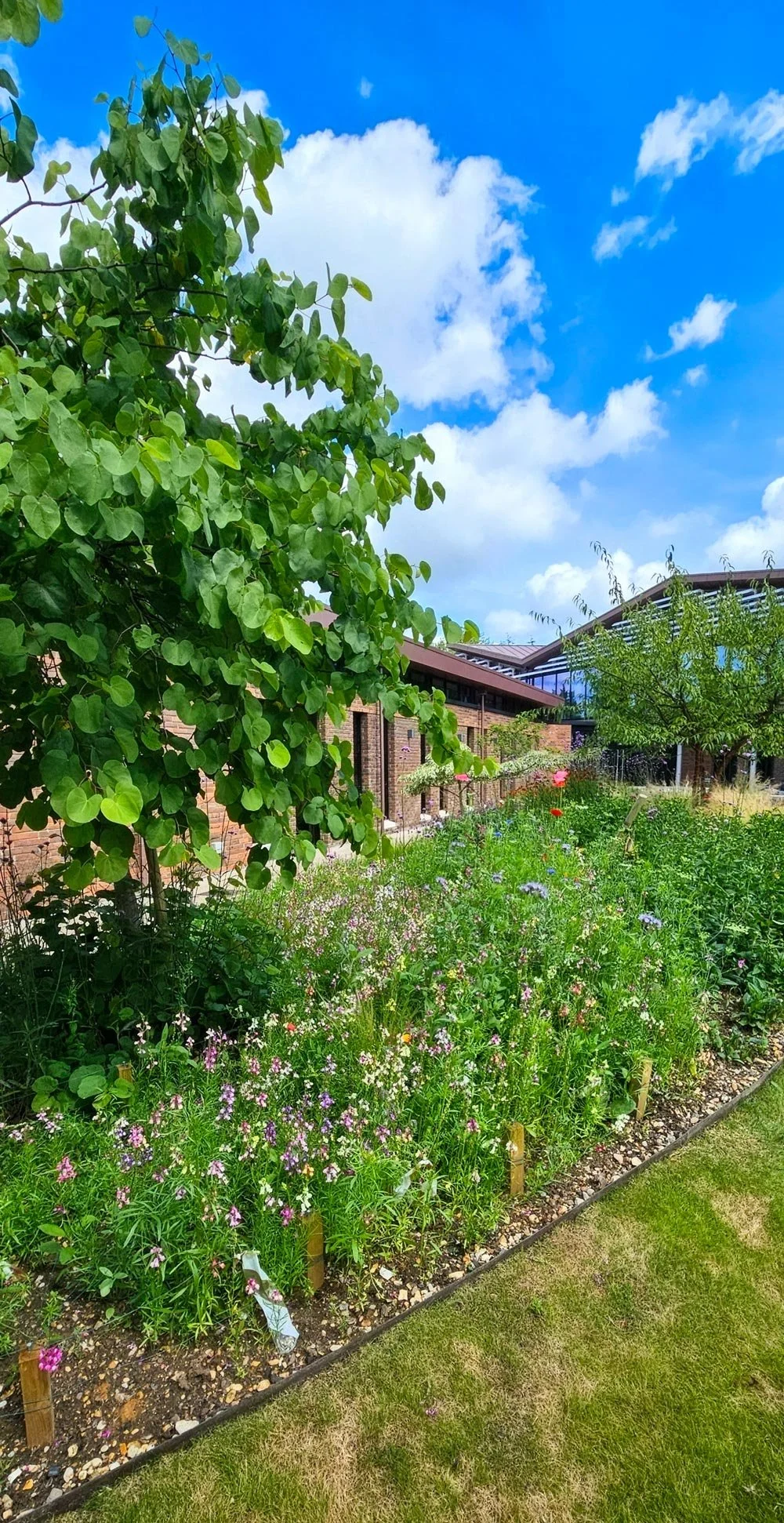 A garden with green trees and a variety of colorful flowers, with a brick building and a partly cloudy blue sky in the background.