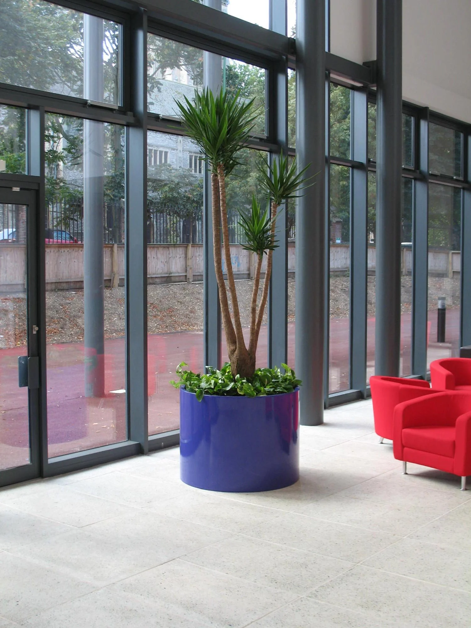 Interior lobby area with large potted plant in a bright blue container, red chairs, large glass windows, and outside view of trees and a sidewalk.