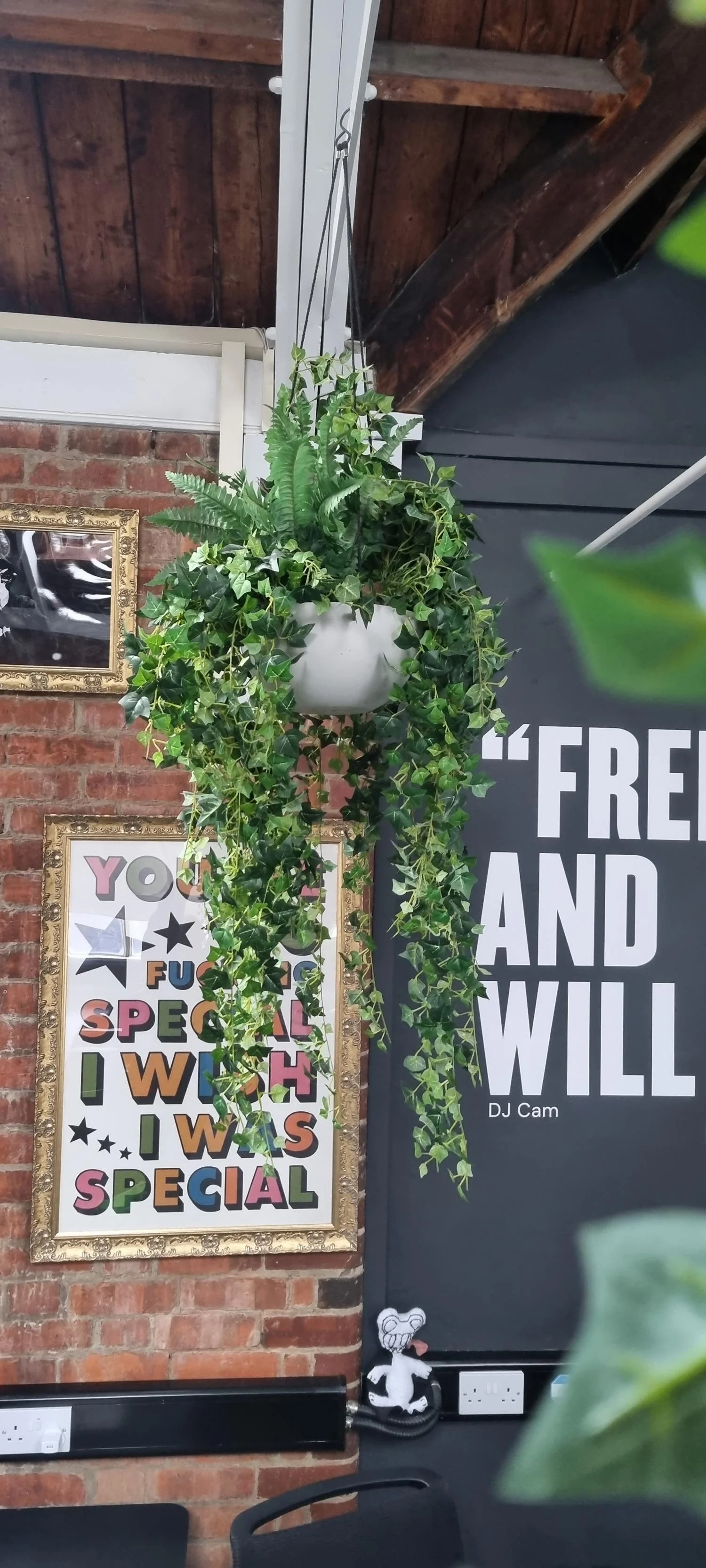 Hanging potted plant with green leafy and fern-like foliage, indoors against a brick wall with framed artwork and a black poster with white text.
