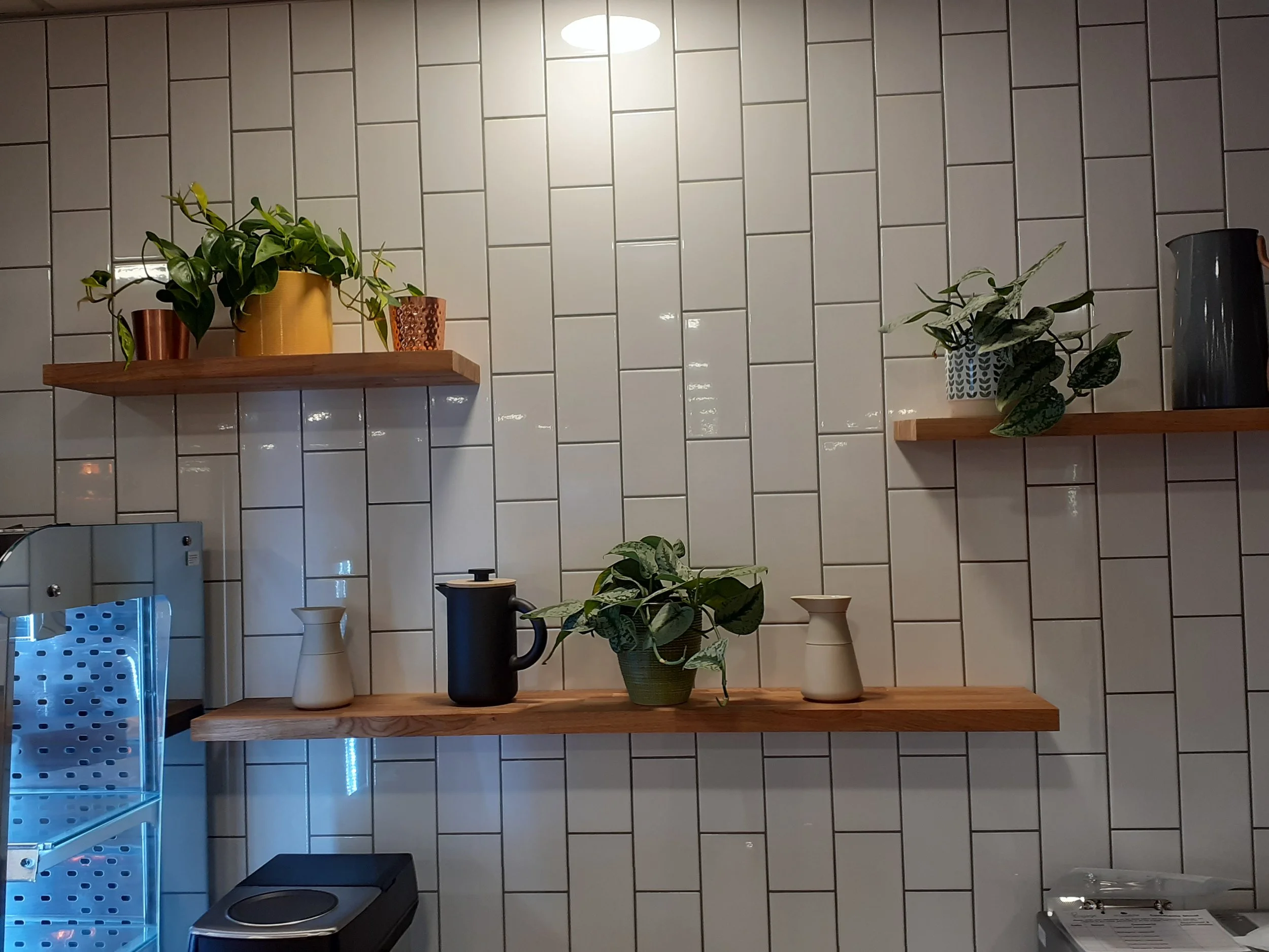 Stewarts_Interior Landscaping_Plants_Workspaces_Hanging Shelving Planting-42.jpg