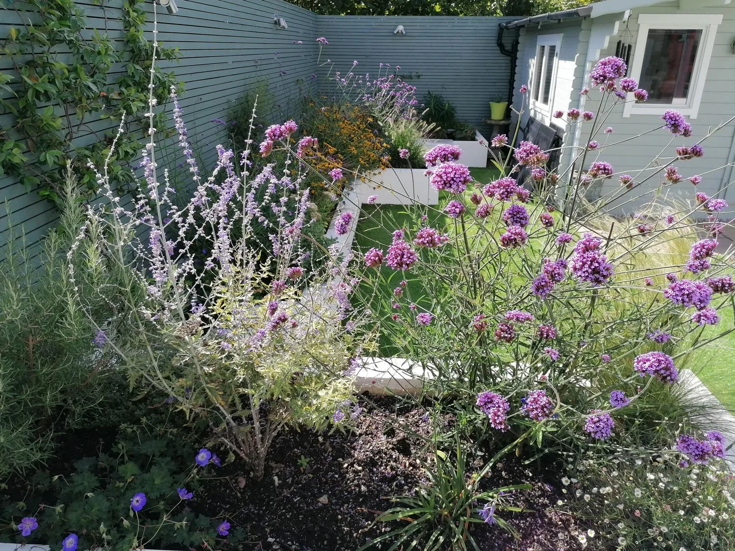 A backyard garden with a variety of blooming flowers including purple and white flowers, a white garden bed, and a house with gray siding and white trim in the background.