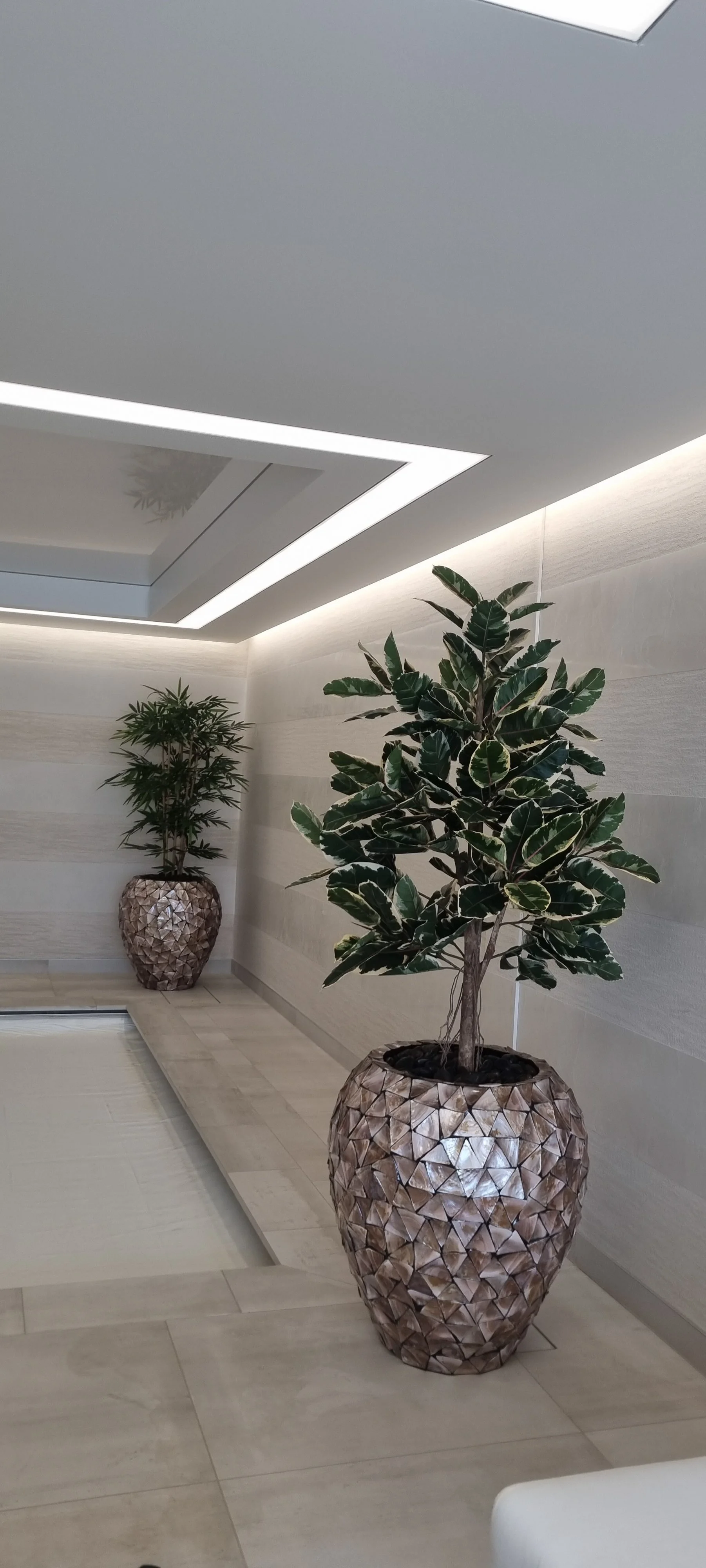 Stewarts_Interior Landscaping_Plants_Workspaces_Atrificial Planting-30.jpg