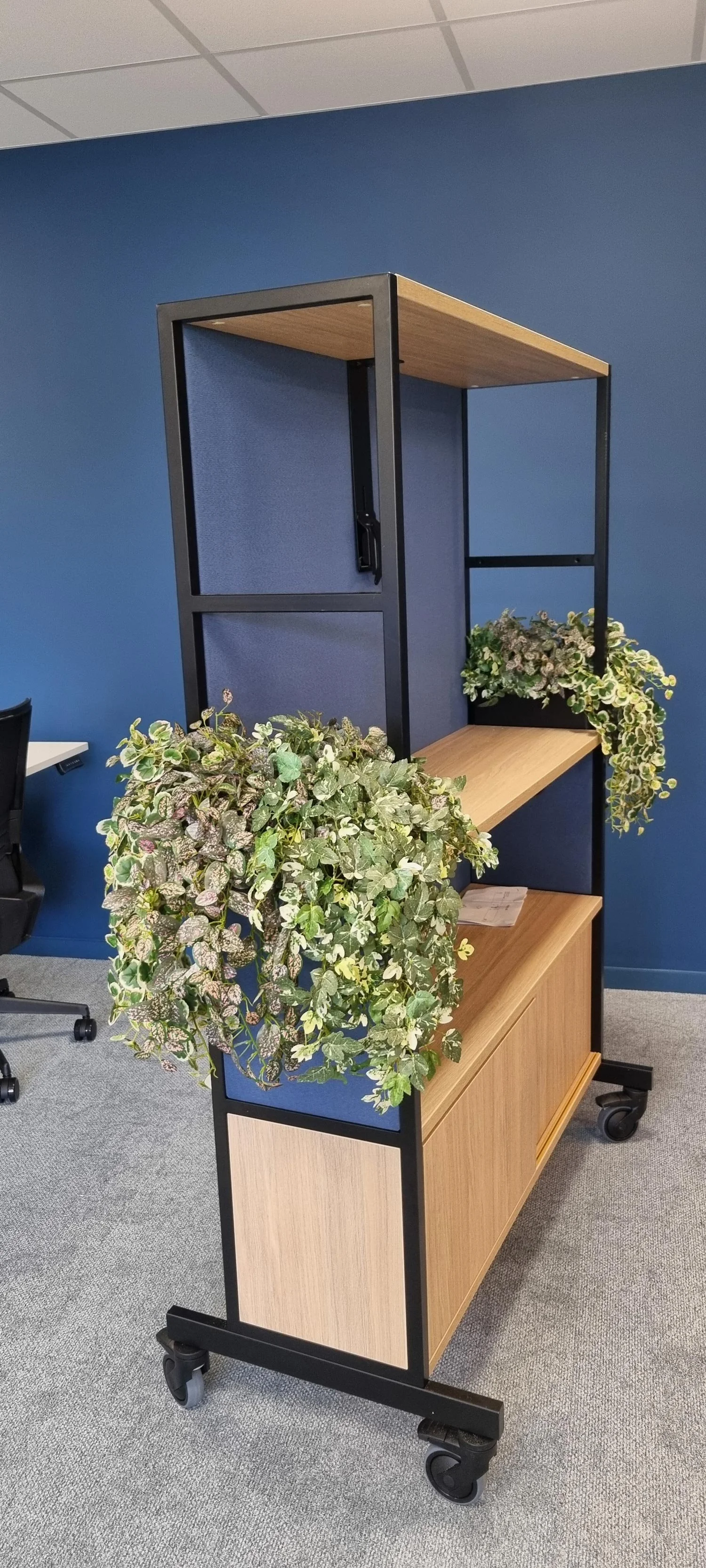 A mobile shelving unit with wooden shelves, black metal frame, blue panels, and two hanging plants with variegated leaves