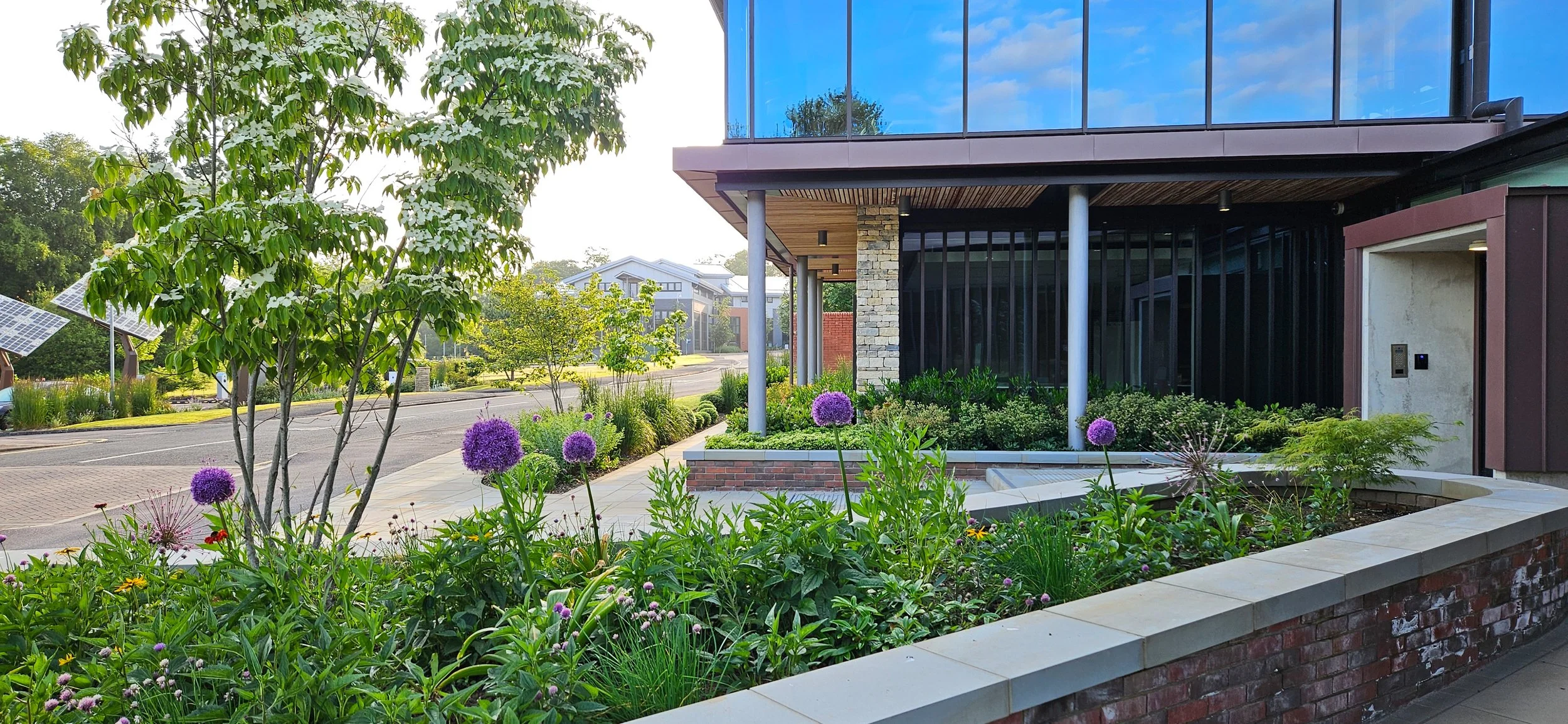 Stewarts_Exterior_Landscaping_Boarders Planting Soft Landscaping-019.jpg