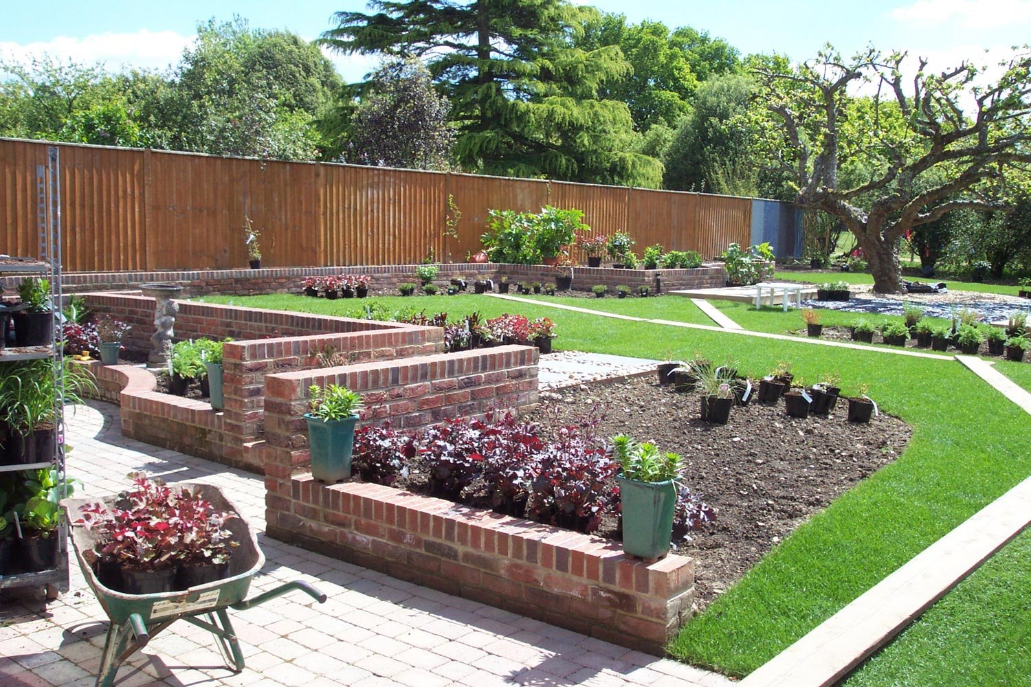 A backyard garden with brick garden beds, potted plants, a wheelbarrow, and a wooden fence. There are green trees and a large tree with twisting branches in the background.