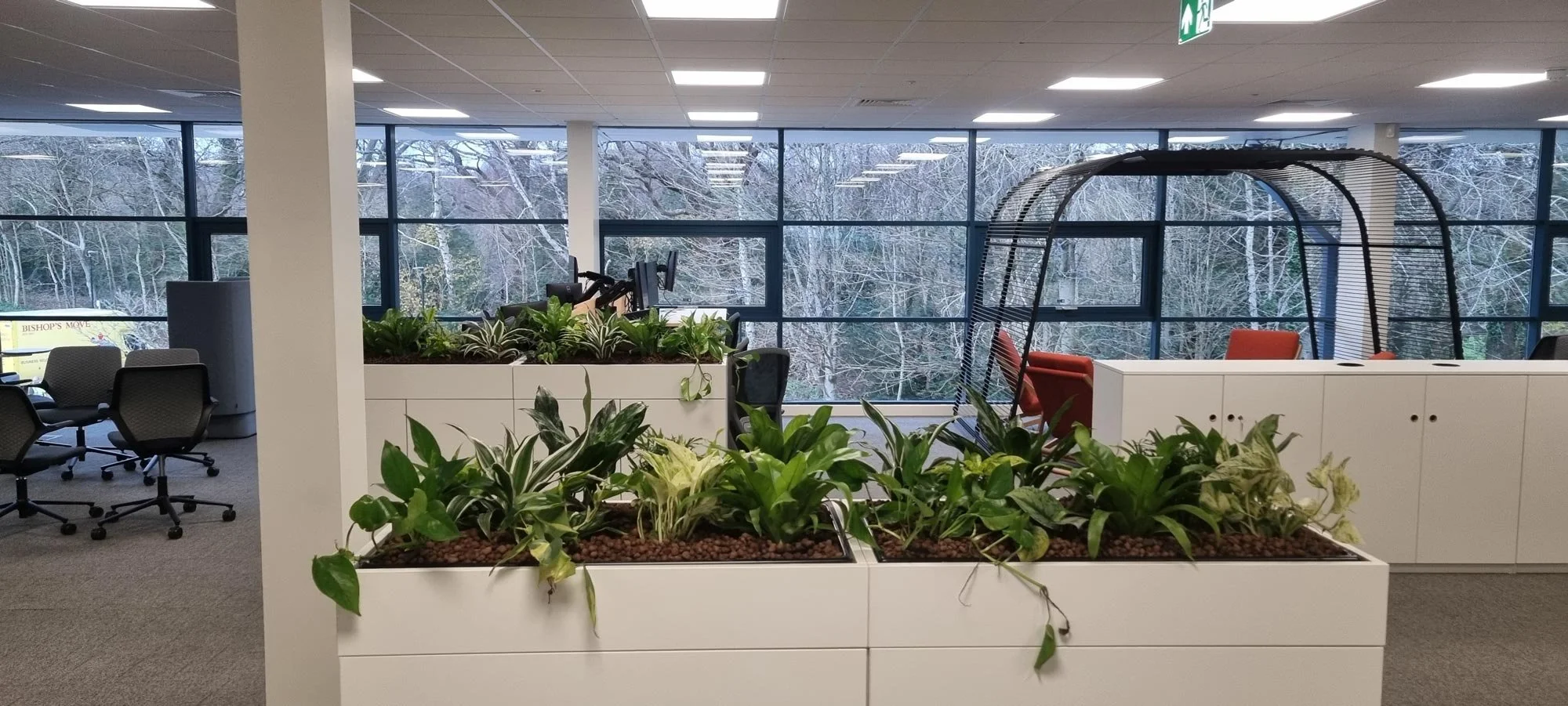 Modern office with green plants in white planters, multiple chairs, large windows showing snowy trees outside, and a rooftop garden area with orange chairs and a black metal dome structure.