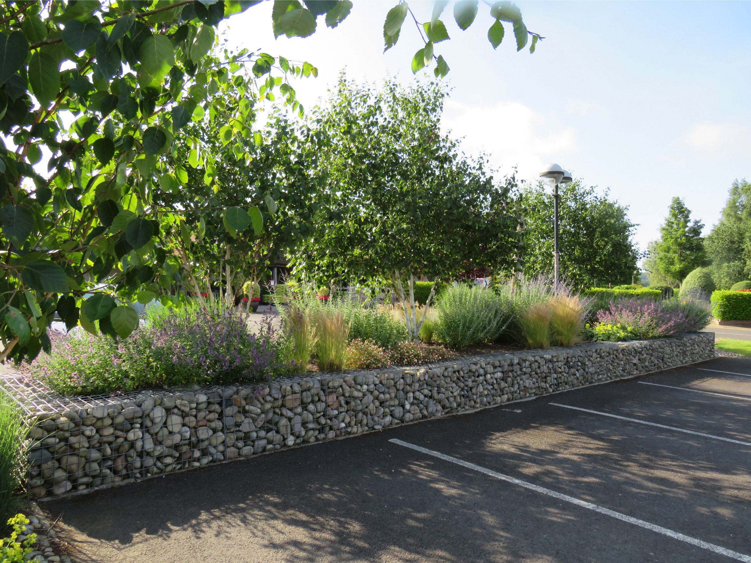 Stewarts Landscaping_Commercial Grounds Car Park Planting.png