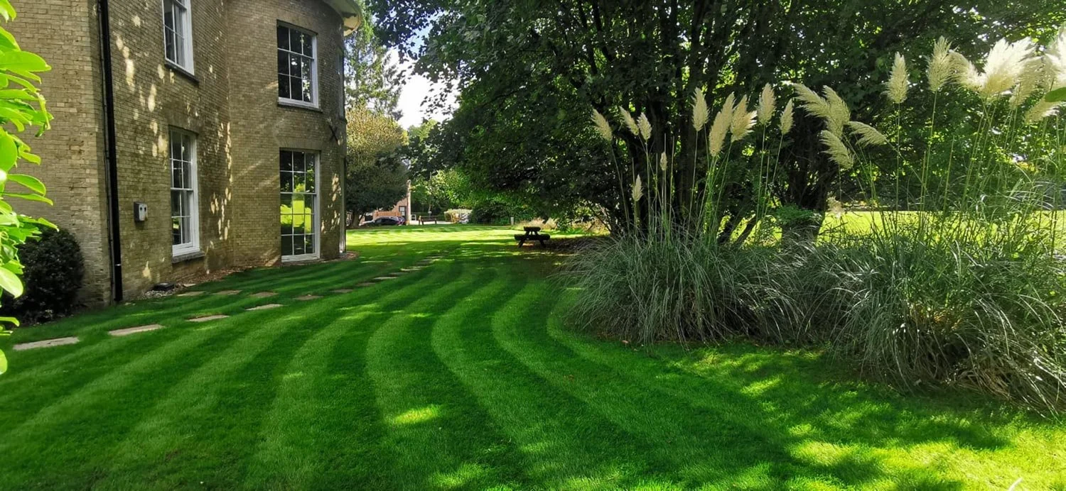 Well-maintained green lawn with curved mowing lines, a brick building with windows on the left, and a shaded area with trees and tall ornamental grass on the right, with a picnic table in the background.